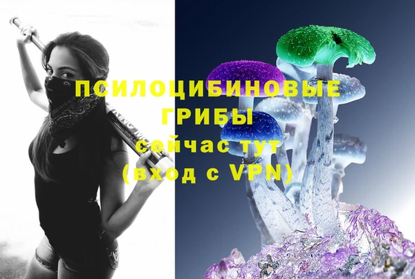 герыч Елабуга