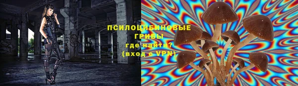 прущая мука Новозыбков