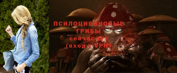 мдма Новодвинск