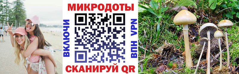 мега ссылка  Приморско-Ахтарск  Псилоцибиновые грибы мицелий  наркотики 