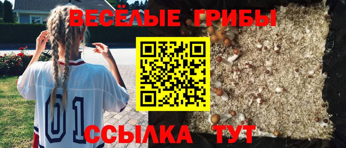 Галлюциногенные грибы Psilocybine cubensis Приморско-Ахтарск