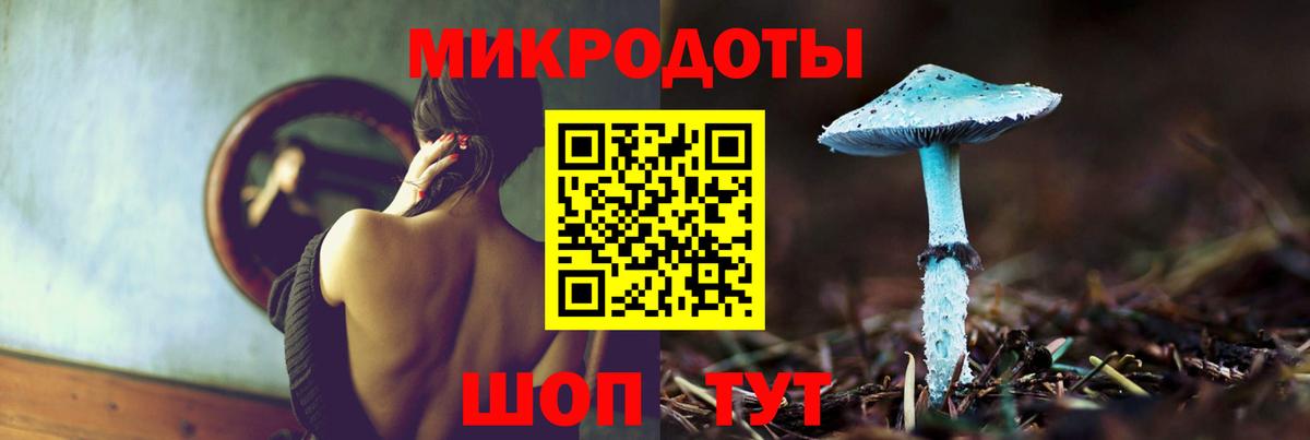 Псилоцибиновые грибы Cubensis  купить наркотики сайты  Псилоцибиновые грибы ЛСД  Приморско-Ахтарск  Вход с VPN 