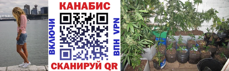 Марихуана OG Kush  Приморско-Ахтарск 